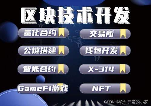 區(qū)塊鏈技術(shù)全棧開發(fā)與咨詢服務指南